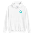 AO Mini Logo Unisex Hoodie Apparel - spo-default